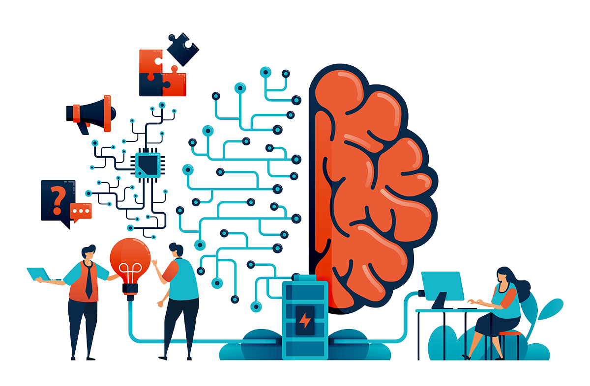 brain